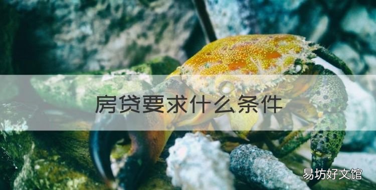 房贷要什么条件,买房贷款需要什么条件