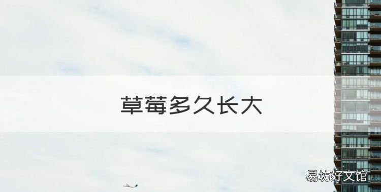 草莓多久长大，草莓种子发芽需要多长时间结果