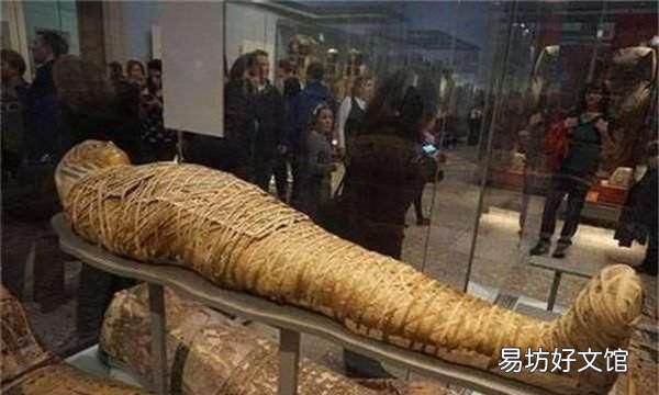 木乃伊制作,如何制作一具皇家木乃伊?详解奇葩操作流程,简直叹为观止