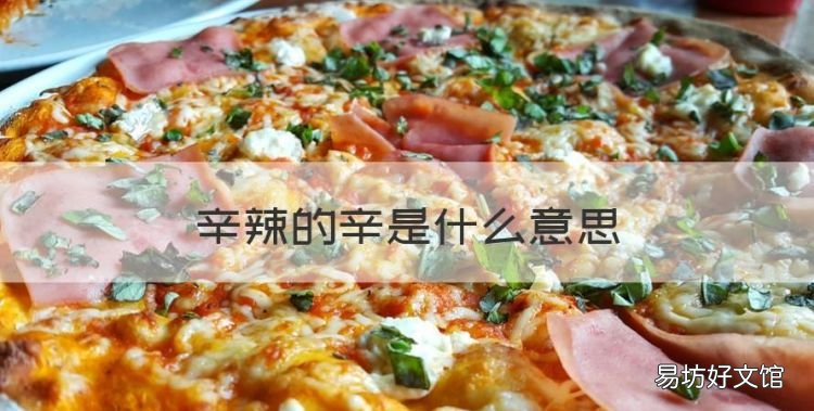 辛辣的辛是什么意思,生冷辛辣中的辛是什么意思