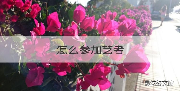 怎么参加艺考，中专生可以艺考吗