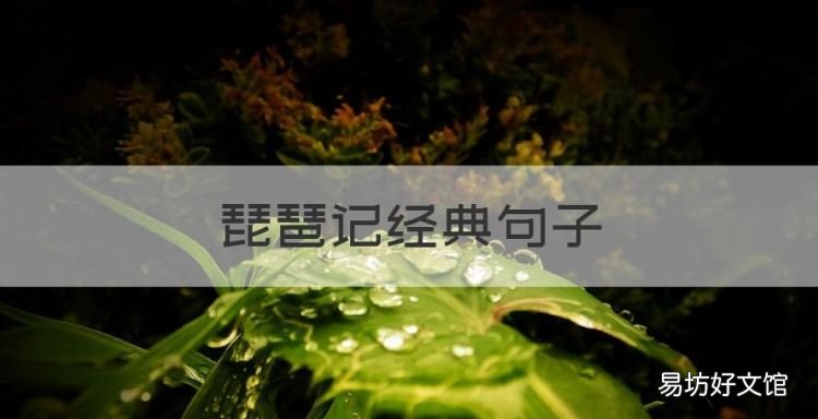 琵琶记经典句子,我本将心向明月 奈何明月照沟渠意思
