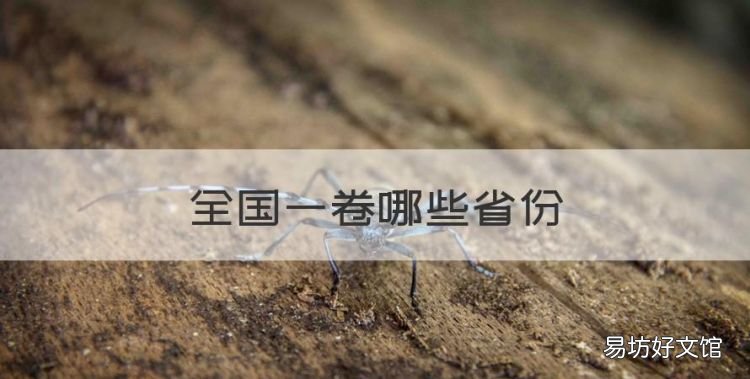 全国一卷哪些省份，全国卷一是哪几个省