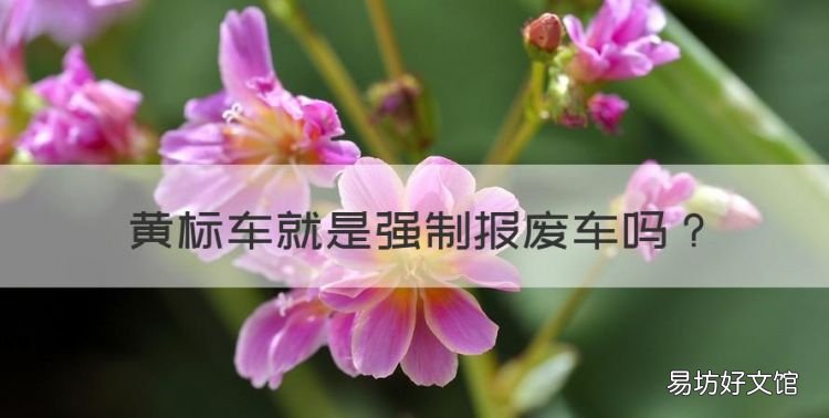 黄标车是什么意思,黄标车就是强制报废车