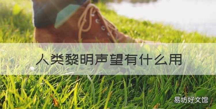 人类黎明声望有什么用,象征着自由与黎明的太阳英文