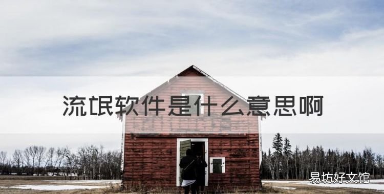 什么是流氓软件,流氓软件是什么意思