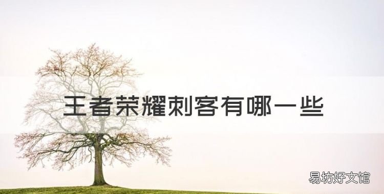 王者荣耀刺客有哪些,王者荣耀都有哪些英雄有专精装备