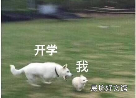 开学了朋友圈说说心情短语