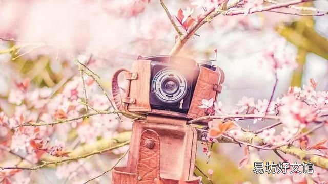 2022愚人节防忽悠指南图片 2022愚人节皮肤
