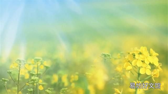 2022愚人节防忽悠指南图片 2022愚人节皮肤