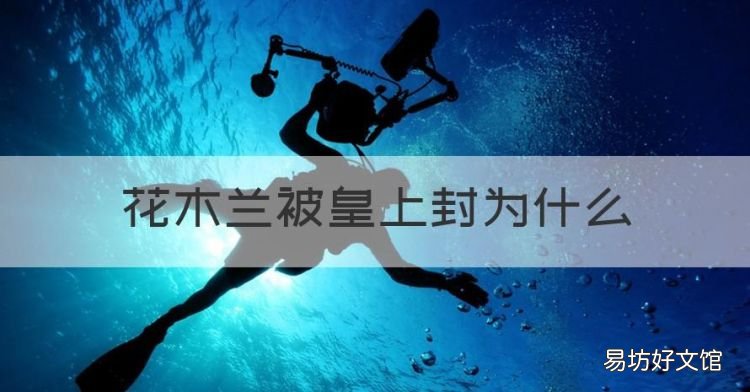 花木兰被皇上封为什么,花木兰被谁追封为孝烈将军