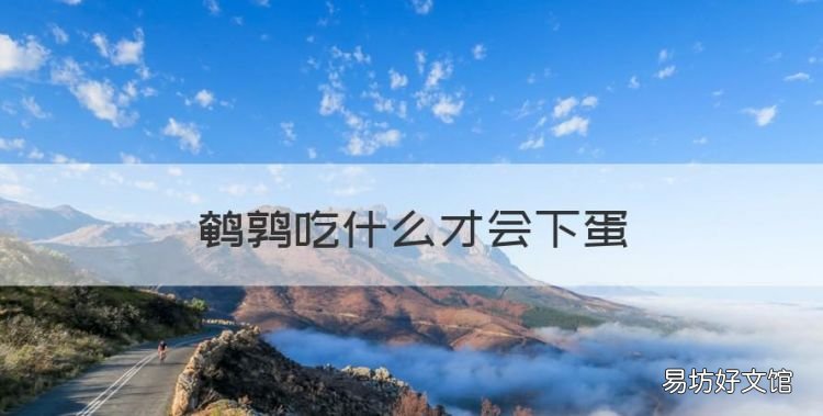 鹌鹑吃什么才会下蛋,鹌鹑鸡吃什么食物下蛋多