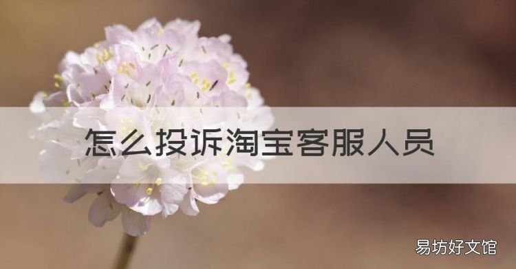 怎么投诉淘宝客服,怎么投诉淘宝客服人员