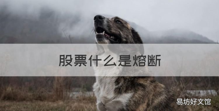 股票什么是熔断,股市熔断是什么意思有什么影响