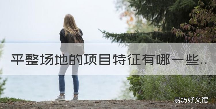 平整场地的项目特征有哪些,场地平整的基本原则有哪些