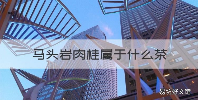 马头岩肉桂属于什么茶