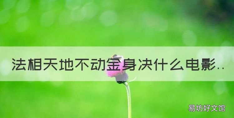 天地无极乾坤借法,法相天地不动金身决什么电影