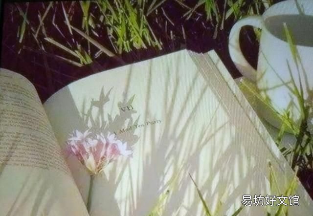 二十四史最后一部,看完二十四史有什么提高