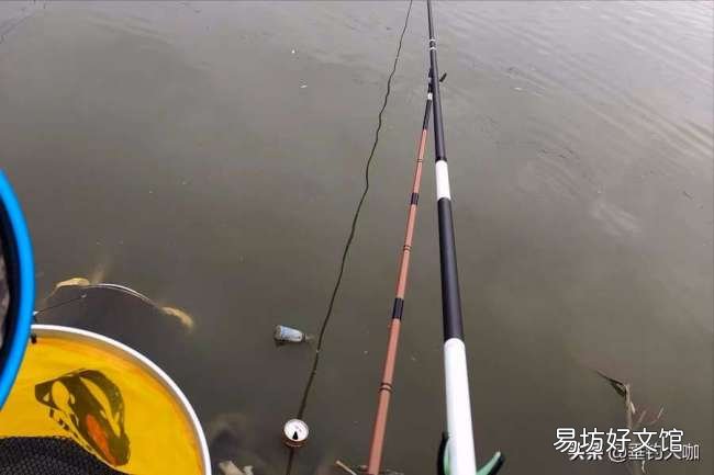 5款性价比很高的鱼竿推荐 钓鱼新手如何选购鱼竿