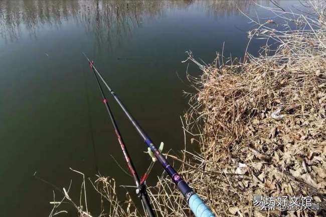 5款性价比很高的鱼竿推荐 钓鱼新手如何选购鱼竿