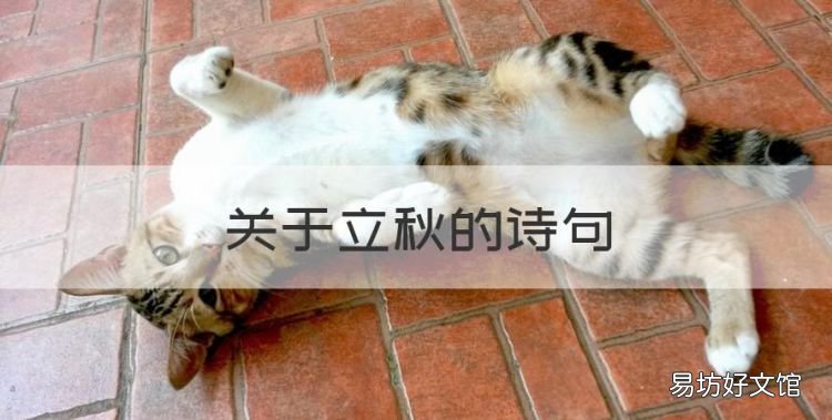 关于立秋的诗句
