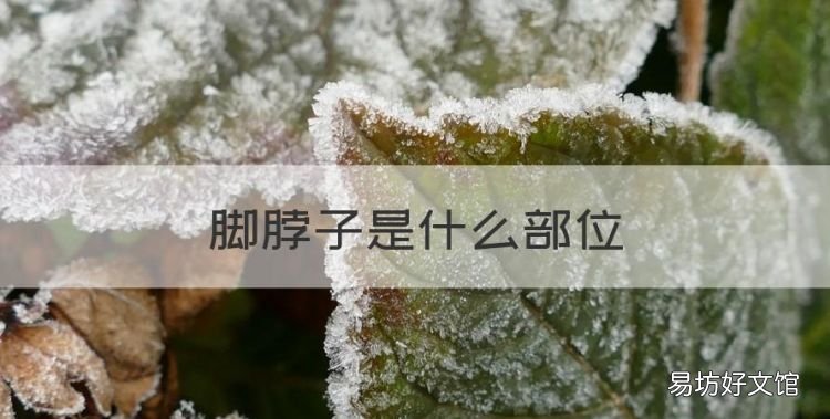 脚脖子是什么部位,脚脖子疼是怎么回事