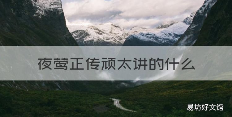 夜莺正传顽太讲的什么
