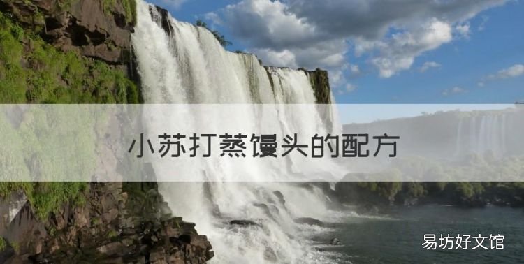 小苏打蒸馒头的配方,只用小苏打发面蒸馒头的做法