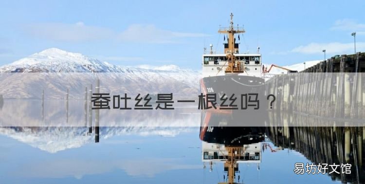 蚕吐丝是一根丝，为什么蚕吃进去的是桑叶