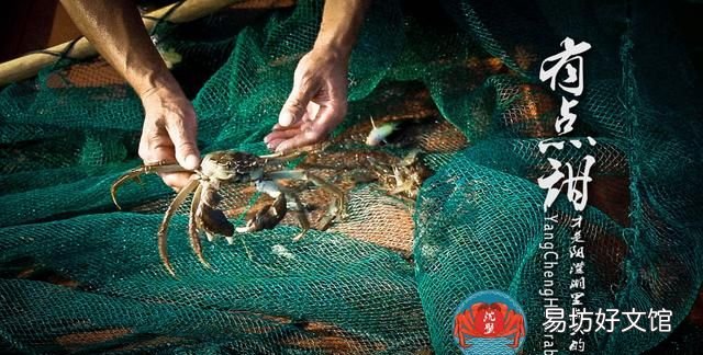 什么才是正宗的阳澄湖大闸蟹