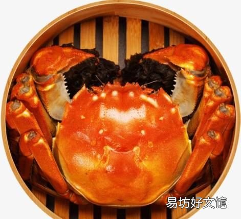 什么才是正宗的阳澄湖大闸蟹