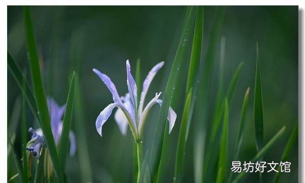 万物生光辉是什么意思,阳春布德泽万物生光辉的意思是什么