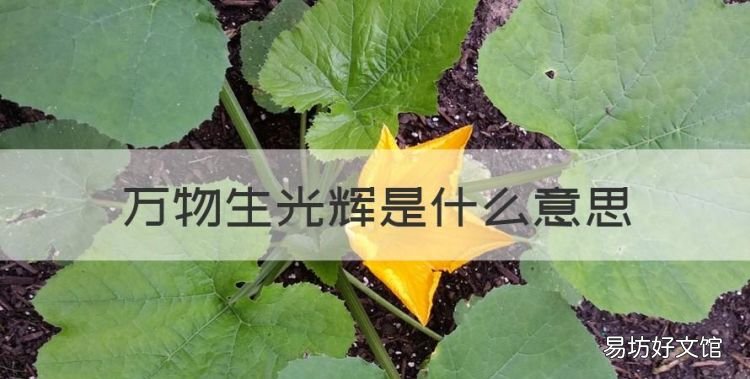 万物生光辉是什么意思,阳春布德泽万物生光辉的意思是什么