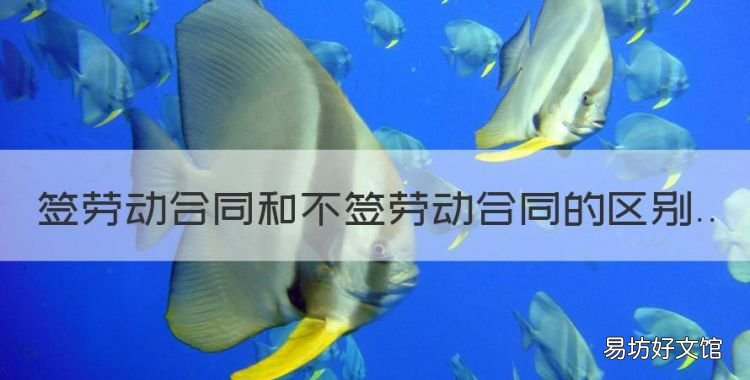 劳动签合同和不签合同的区别,签劳动合同和不签劳动合同的区别