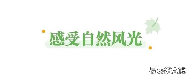 春节全国各地旅游吃美食 春节期间旅游景点美食节
