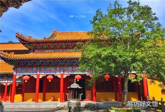 天目山的风景怎么样