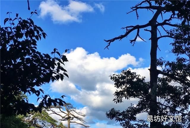 天目山的风景怎么样