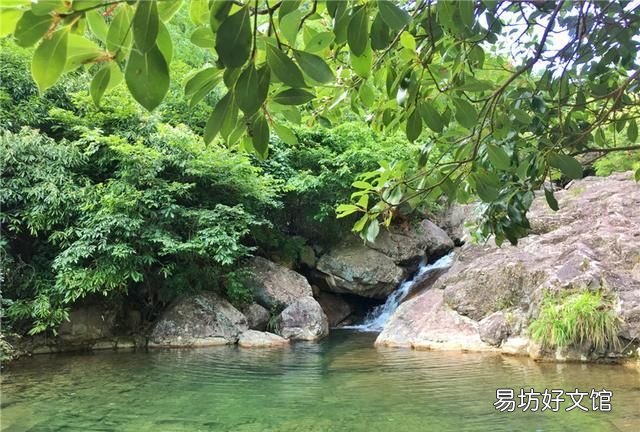 天目山的风景怎么样