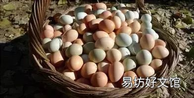 可追溯鸡蛋才是好鸡蛋,实蛋和普通鸡蛋有什么不同