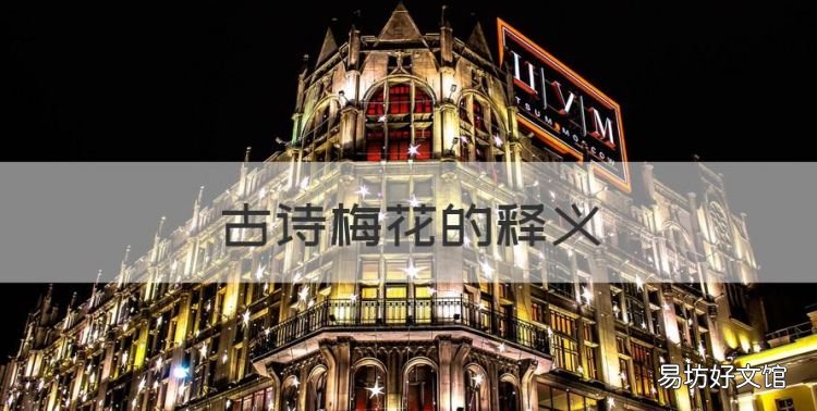 梅花古诗翻译,古诗梅花的释义