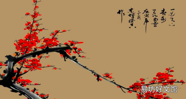 梅花古诗翻译,古诗梅花的释义