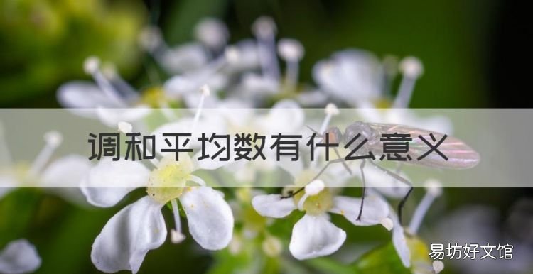 什么是几何平均数,调和平均数有什么意义