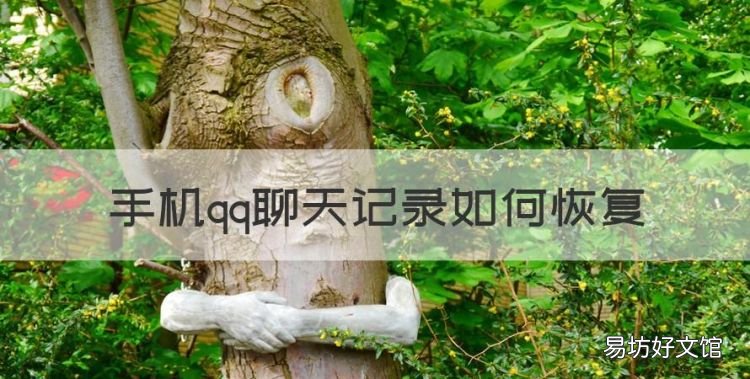 手机qq聊天记录如何恢复