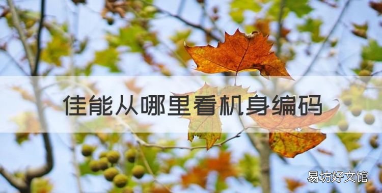 佳能从哪里看机身编码,佳能单反全画幅相机排行榜