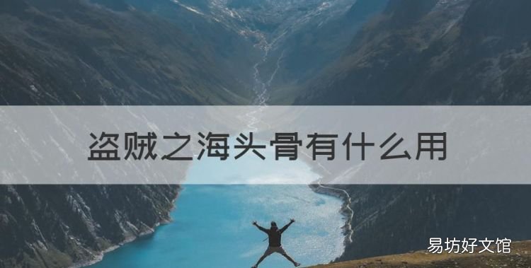 盗贼之海头骨有什么用,盗贼之海邪恶赏金头骨卖给谁