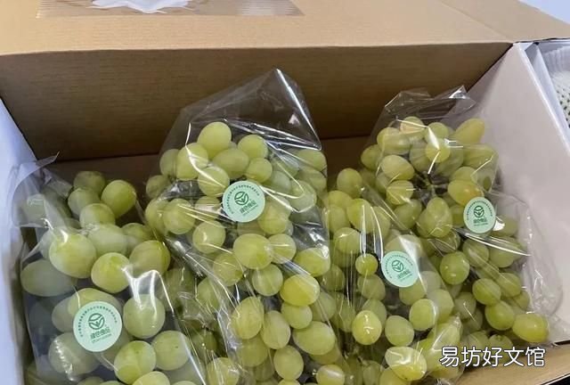 绿色食品是指什么安全优质营养类的食品