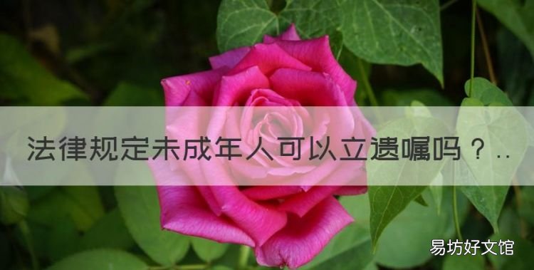 未成年写的遗嘱有效吗,法律规定未成年人可以立遗嘱