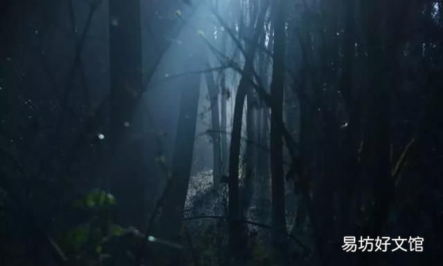 什么叫七情六欲,今天的你,会以七情六欲中的哪一情,来度过今天的时光?