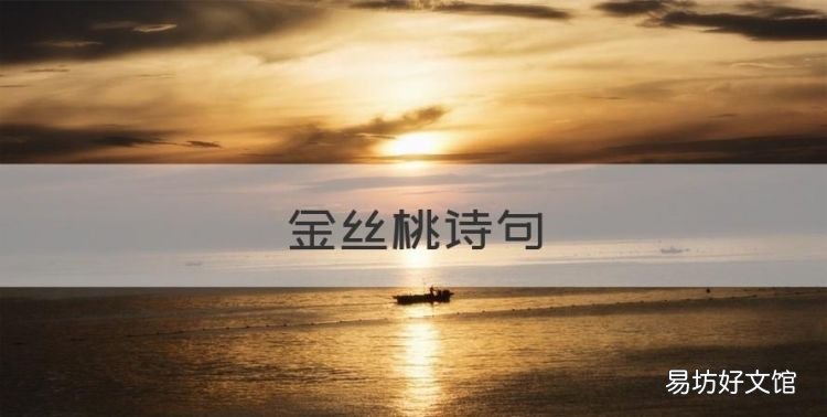 金丝桃诗句,红果金丝桃和金丝桃的区别