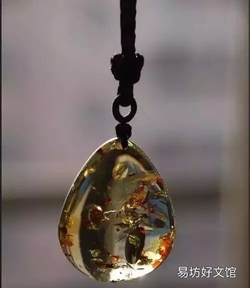 你知道这块琥珀是怎样形成的吗？